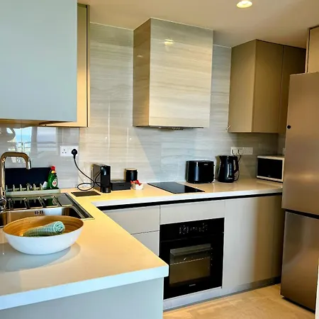 アパートホテル Pigeon リマソール