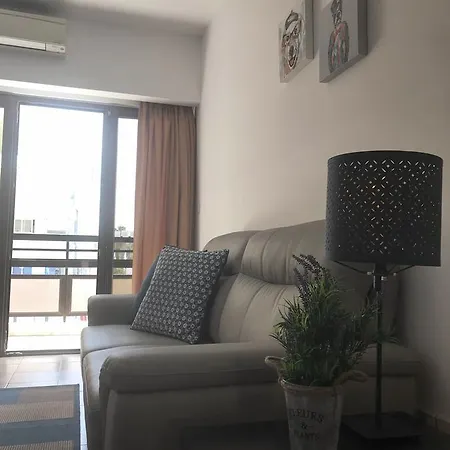 Pigeon לימסול