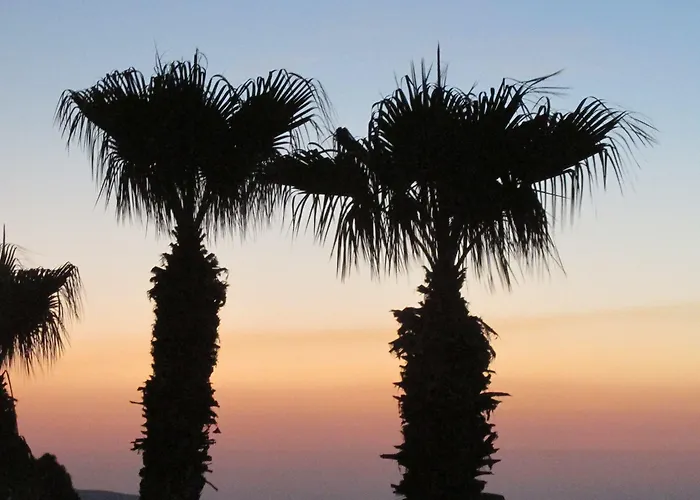 Pigeon 4* Λεμεσός